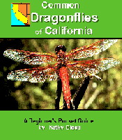 California+dragonflies+pictures