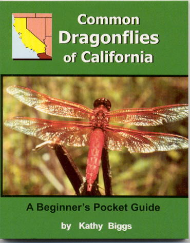California+dragonflies+pictures